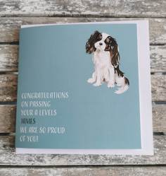 Personalised Dog Congratulations Card GCSES, A Levels, Degree, Exams